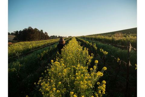 Angus Vinden employs regenerative farming practices in his vineyard in Hunter Valley