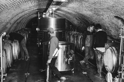 The Gilvesy cellar captured in a retro black and white scene that depicts the modern minimal intervention approach to winemaking