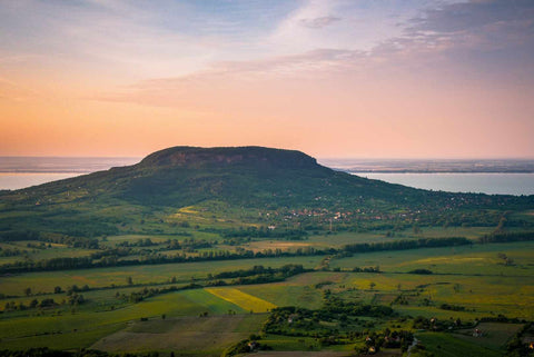 The vineyards of Badacsony where you can see the hills that create the volcanic soil and lake Balaton in the background