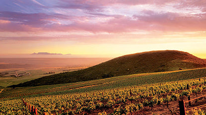 The Darling hills wine region benefits from the cooling Atlantic ocean to produce red and white wines with good acidity and intense flavours. 