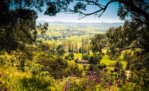 The Hilltops showcases rolling green hills with cooler climate areas