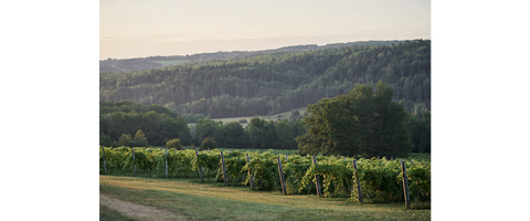 The green rolling hills and valleys of Nova Scotia provide comparisons with the English countryside. 
