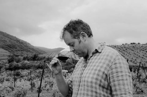 Domaine La Lauzeta in Saint-Chinian are organically certified, producing quality wines